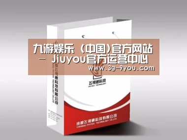 项目名称十三