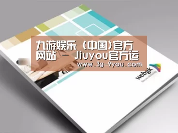 项目名称九